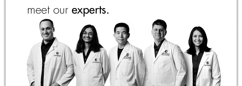 Our Experts
